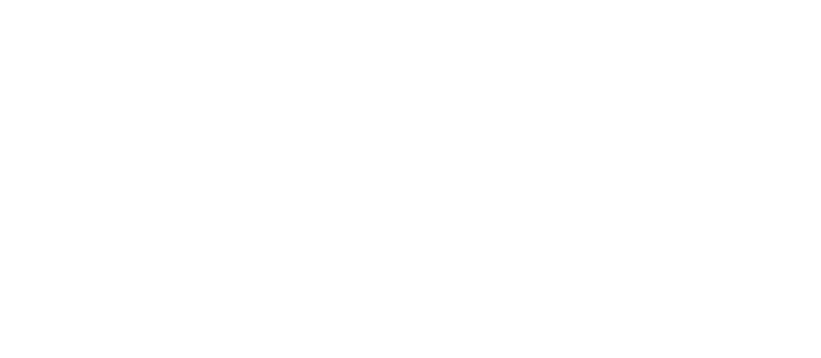 HOÀNG MINH CAPITAL